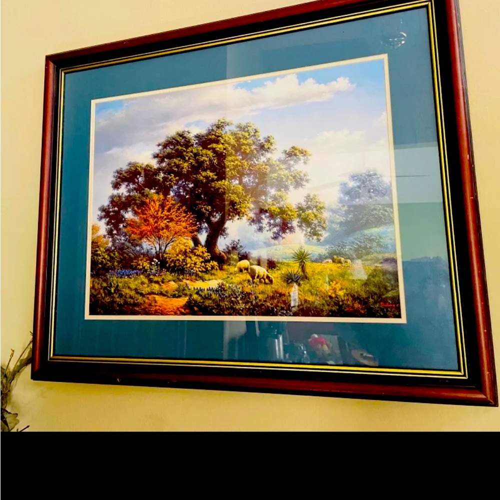 Dalhart Windberg framed Print